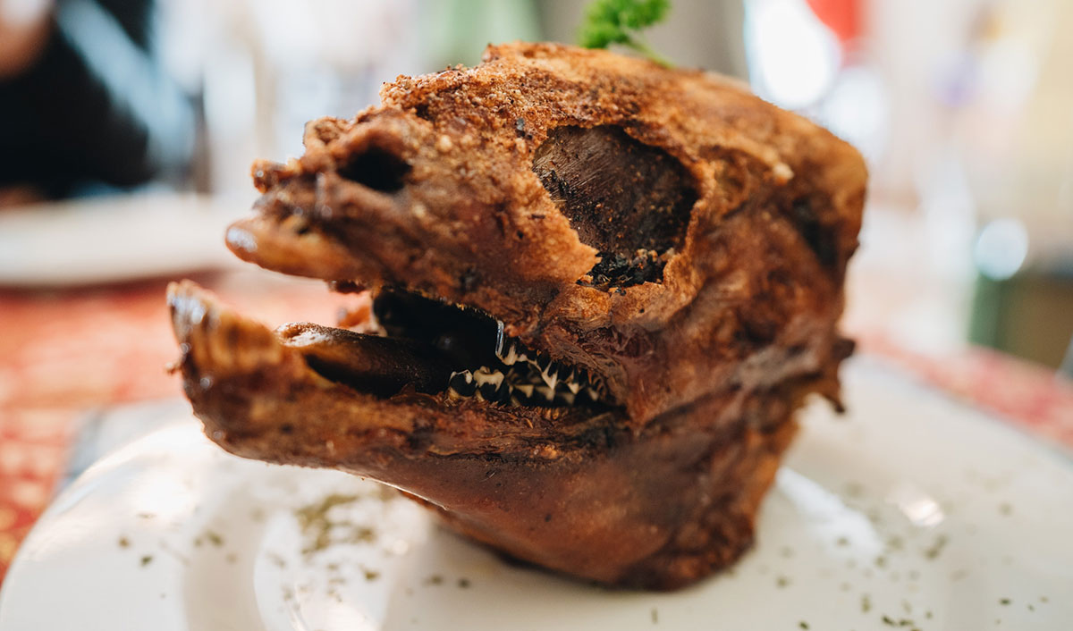 Schaffarm bei Springbock