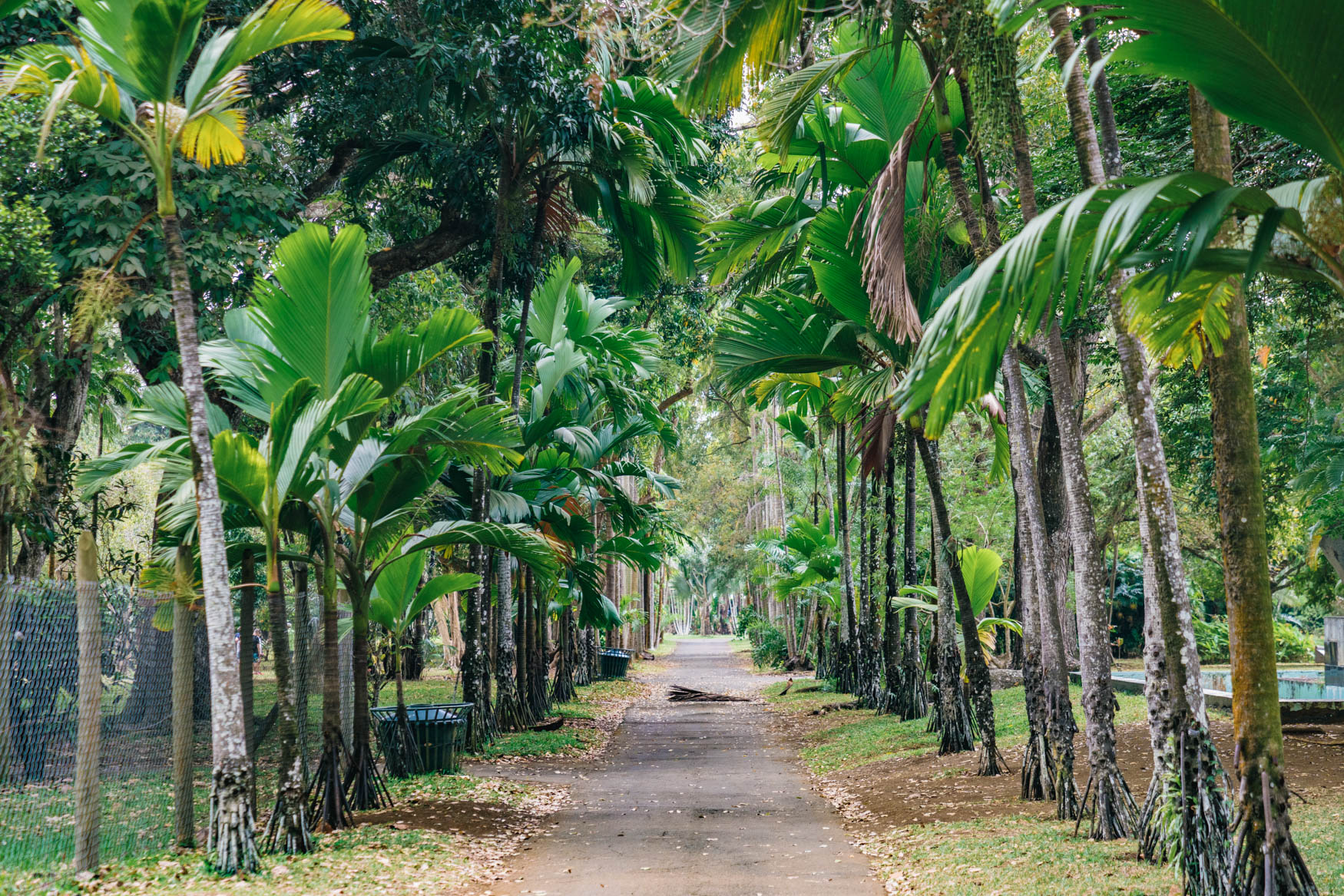 Eingang Botanischer Garten Pamplemousse