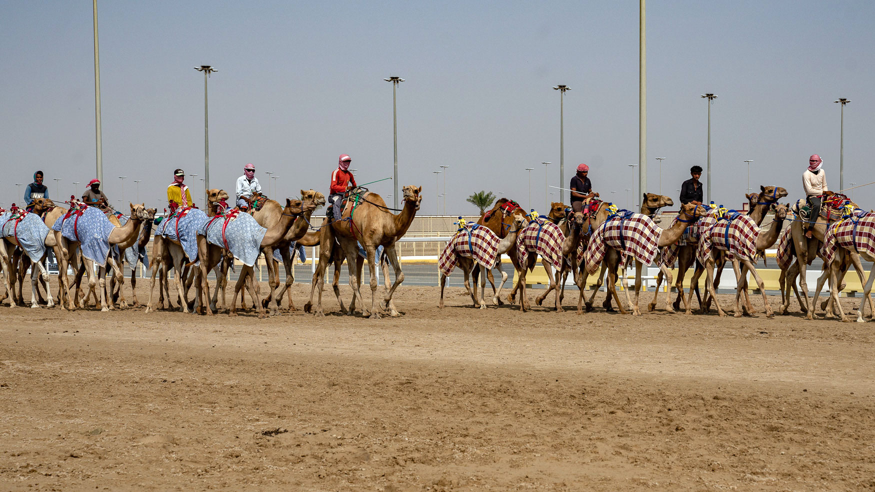 Ausflugsziel in Doha: Die Kamelrennbahn Al Shahaniya