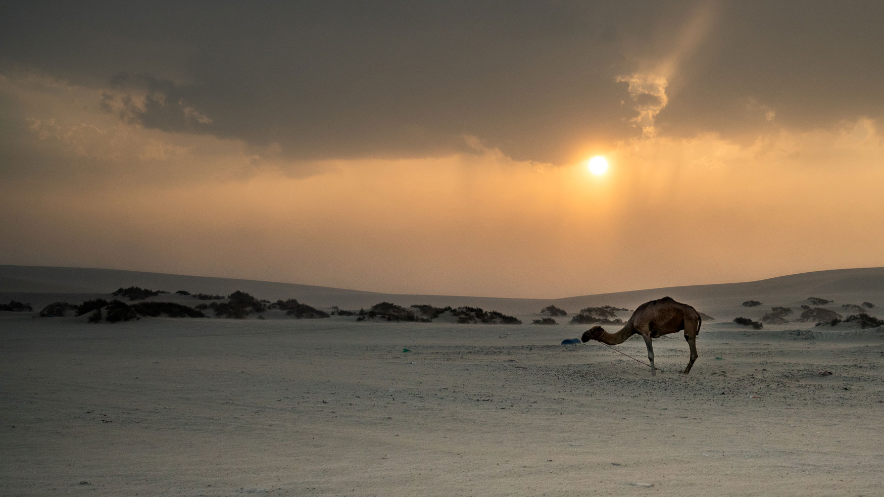 Wüstensafari raus aus Doha in Qatar ist mein Geheimtipp.