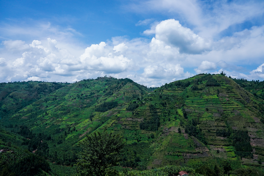 Bwindi Impenetrable Forest Nationalpark