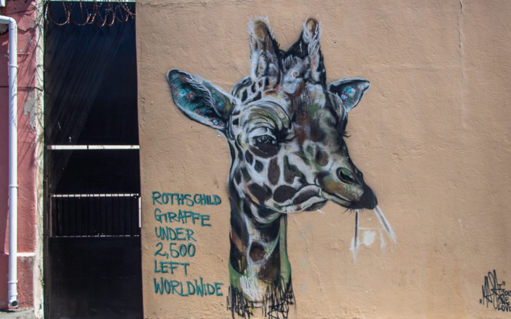Street Art Woodstock Kapstadt