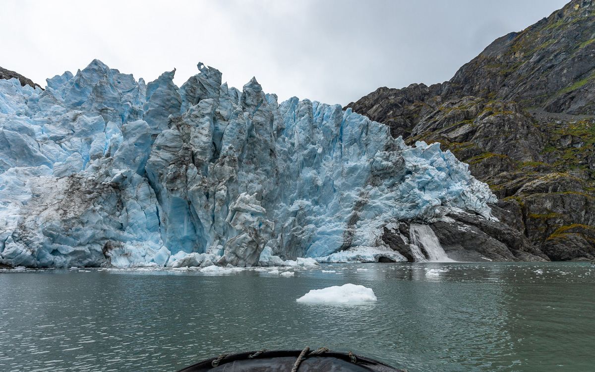 Condor Gletscher Chile Patagonien