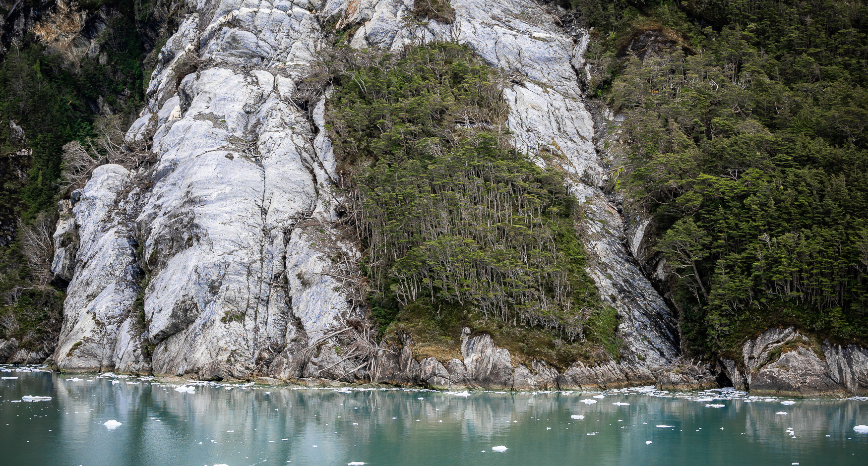 Garibaldi Fjord Regenwald Patagonien