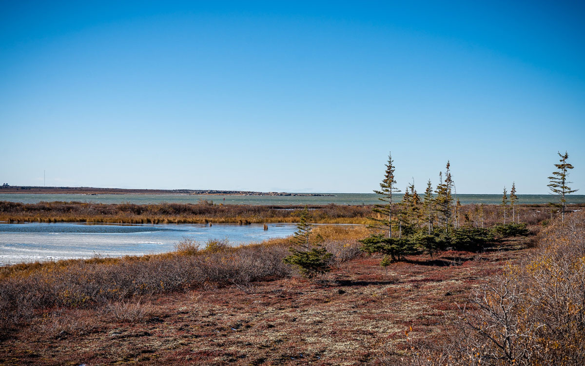 Klimazonen Churchill