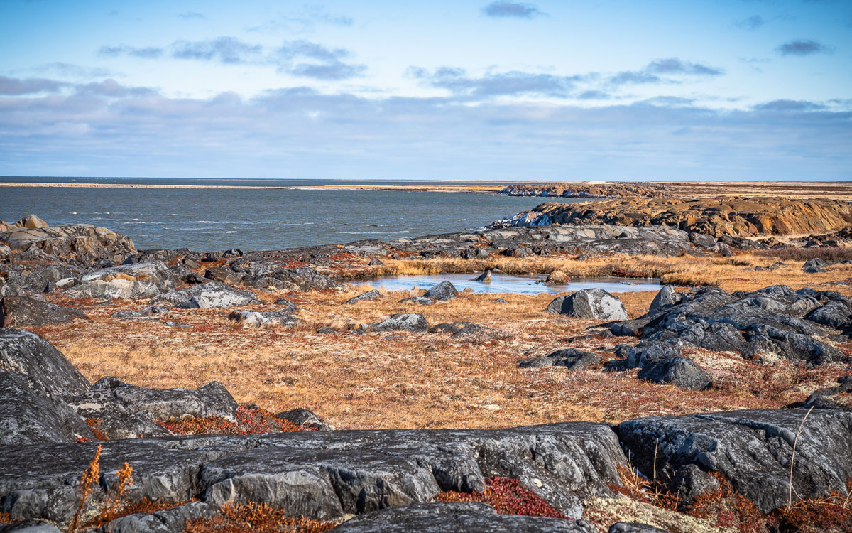 Churchill Nature 1st Tour