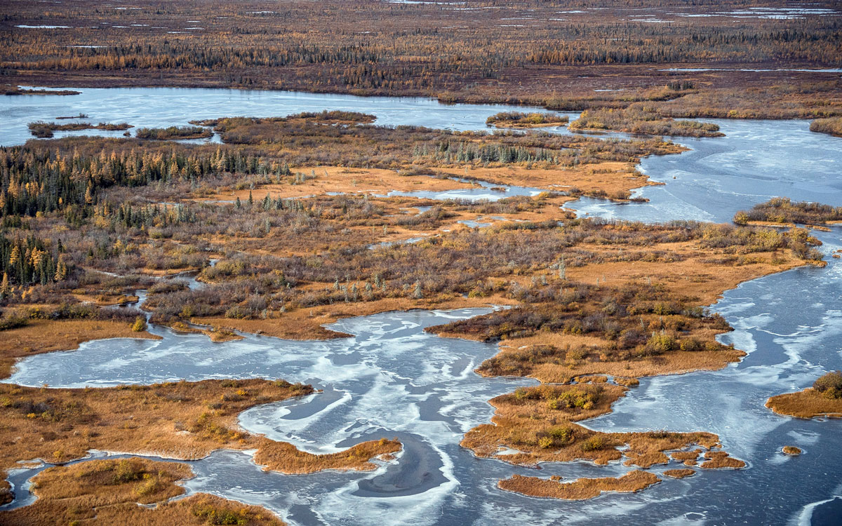 churchill-nadelwald-seen