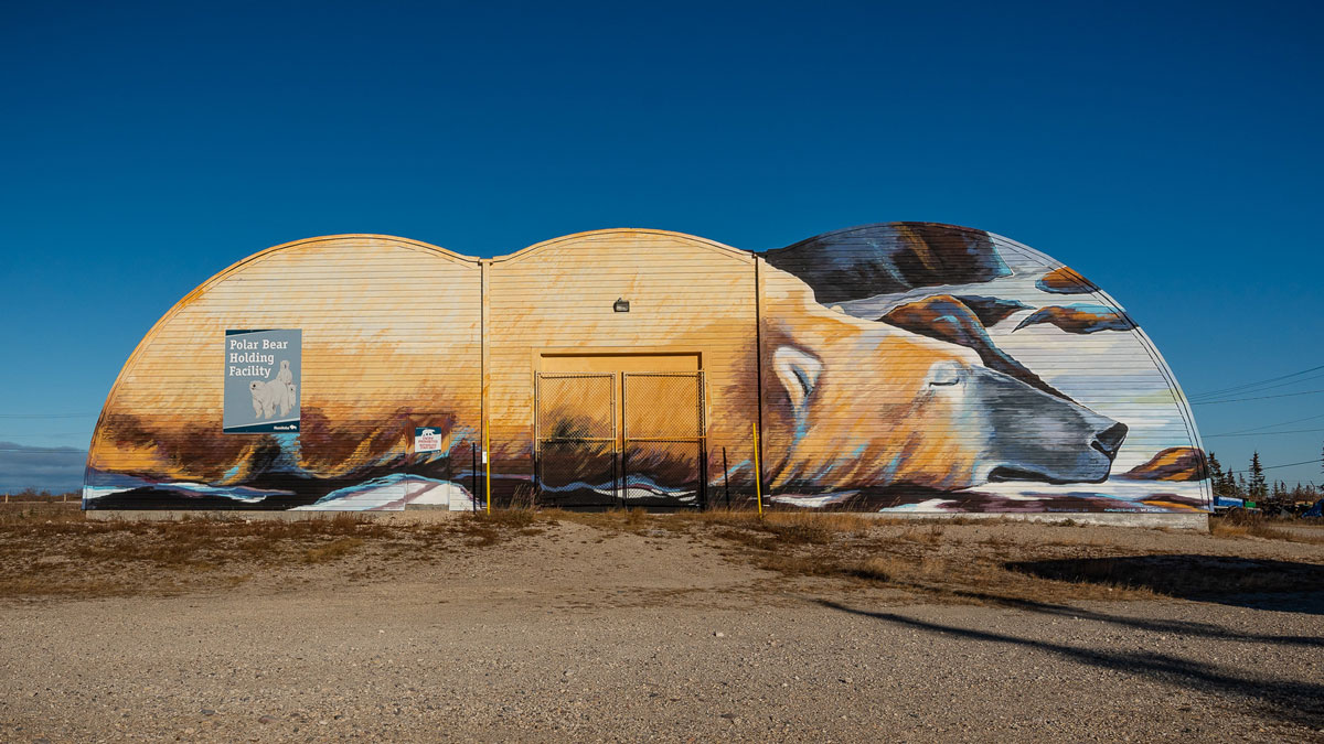 Polar Bear Holding Facility Churchill