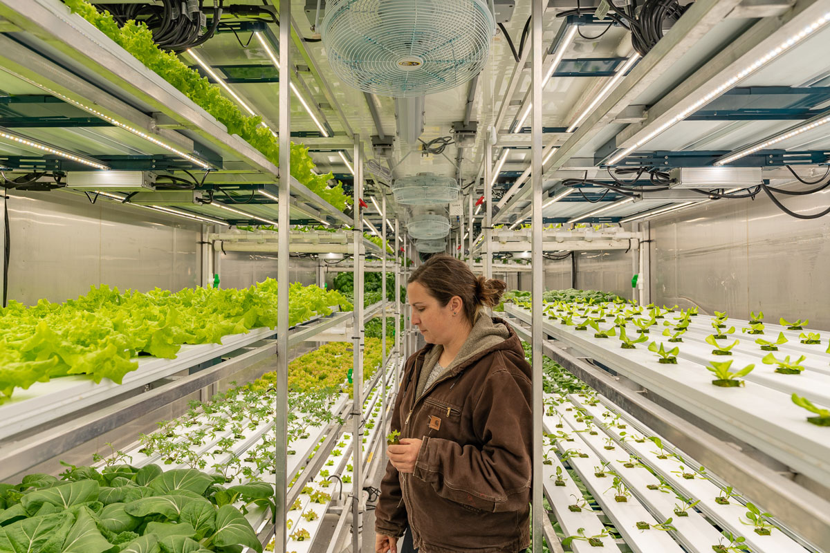 Rocket Green Churchill Northern Science Centre