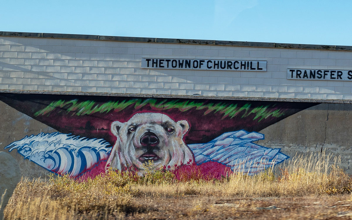 Murals mit Eisbären