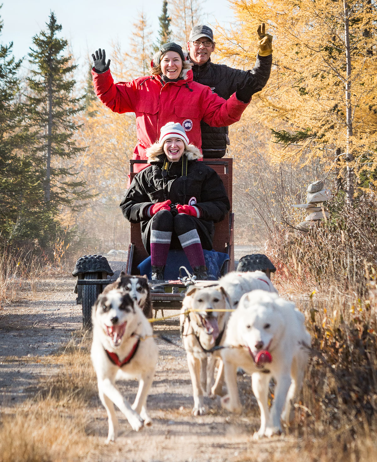 Hundeschlitten Churchill Wapusk Adventures
