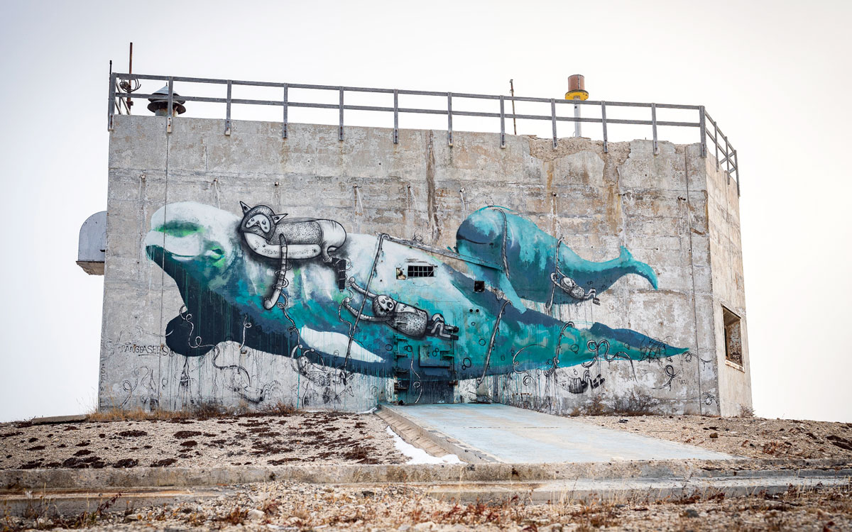 Beluga Wal Mural Rocket Range Churchill