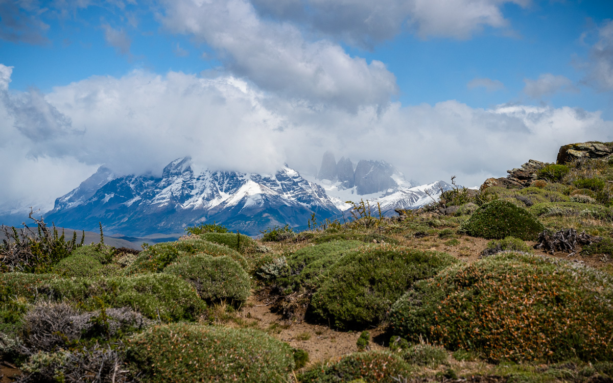 Blick auf Torres del Paine
