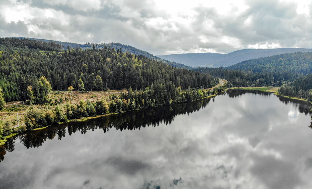 Windgfällweiher im Schwarzwald bei Titisee.