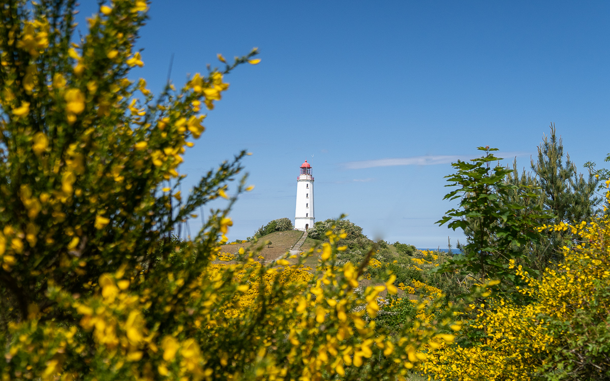 Leuchtturm Dornbusch Hiddensee