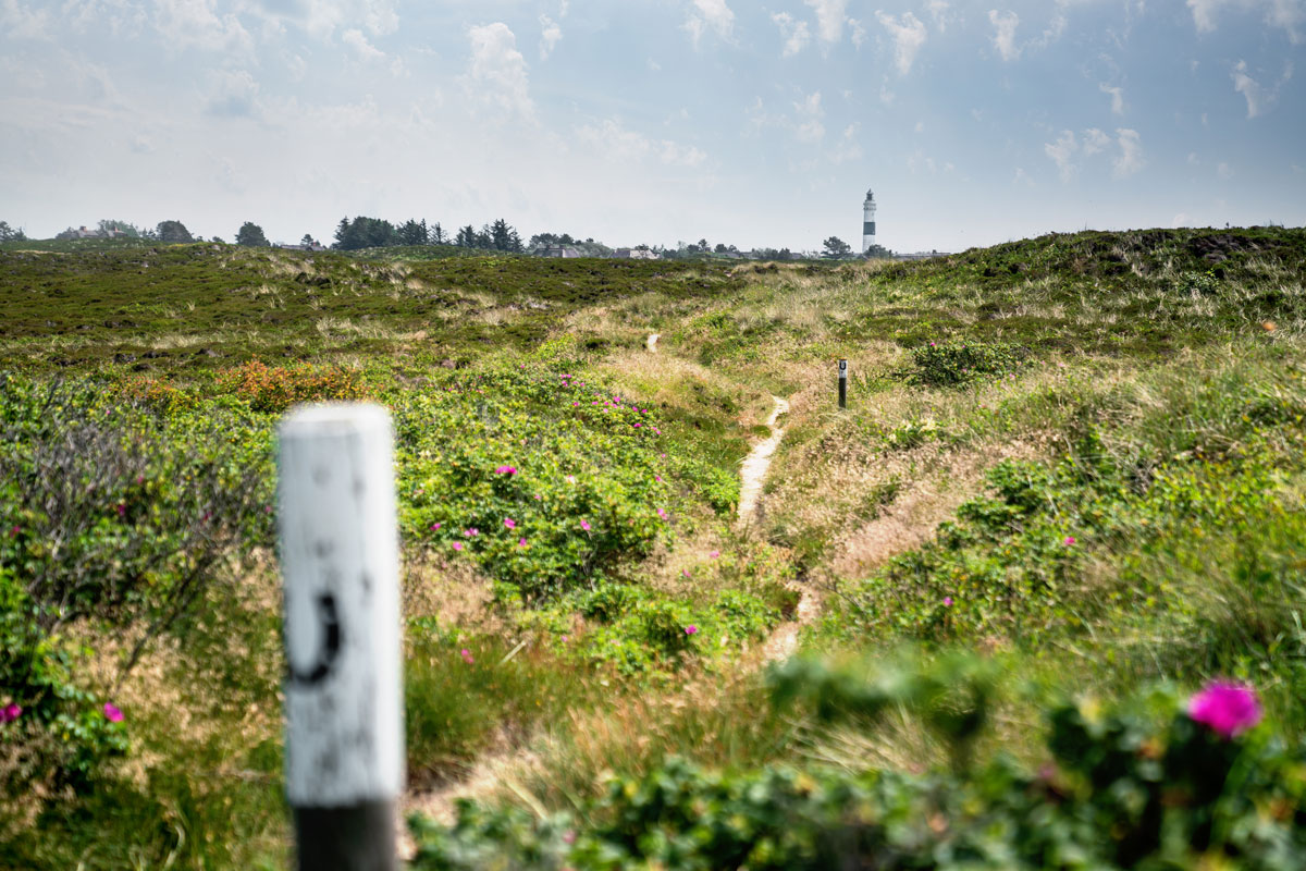 Langer Christian Leuchtturm Sylt