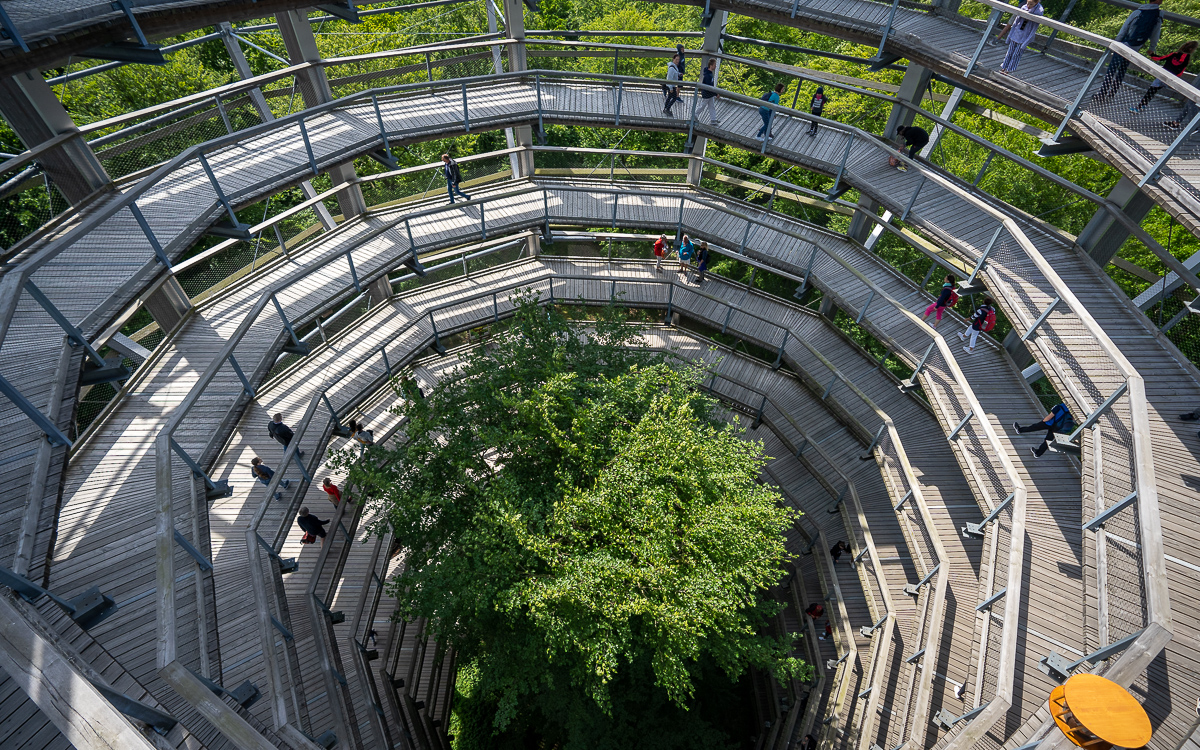 Ganz oben Baumwipfelpfad Prora