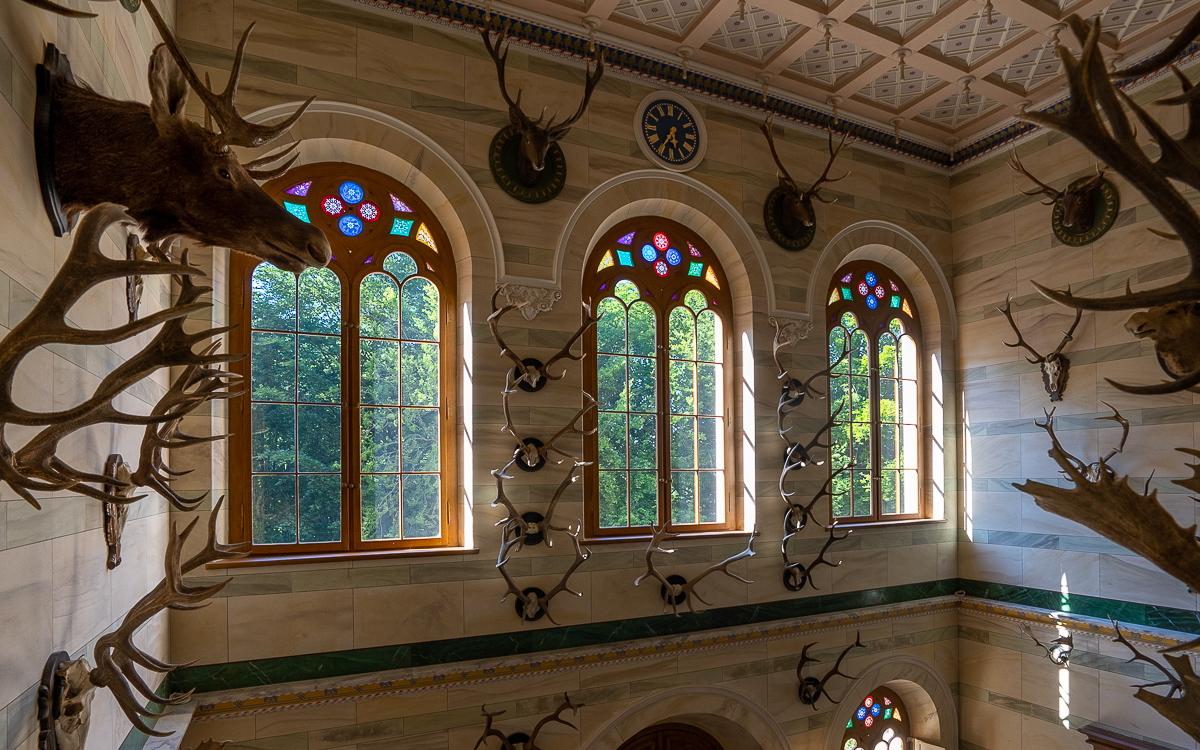 Jagdtrophäen Jagdschloss Granitz