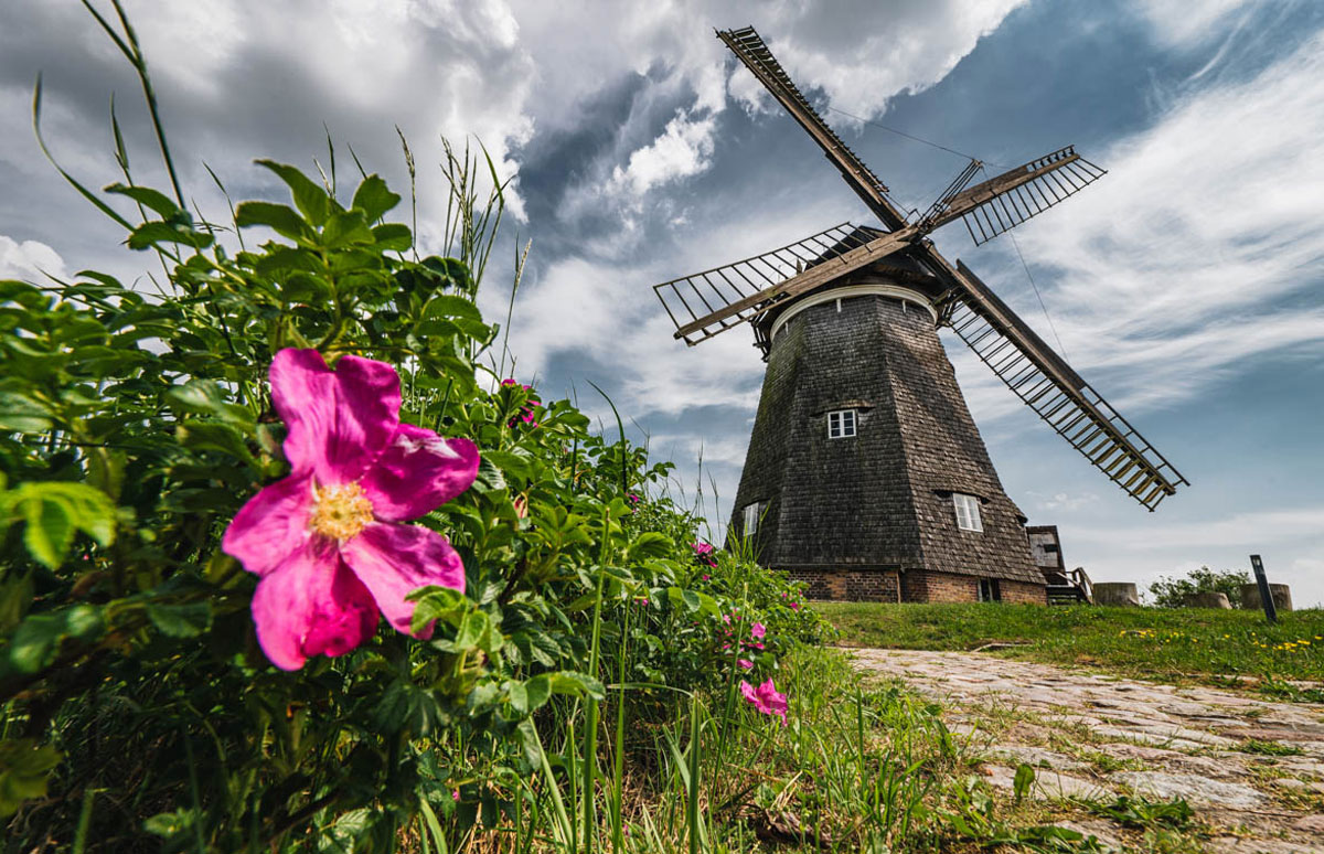 Holländermühle Benz im Achterland auf Usedom ist eine der Sehenswürdigkeiten