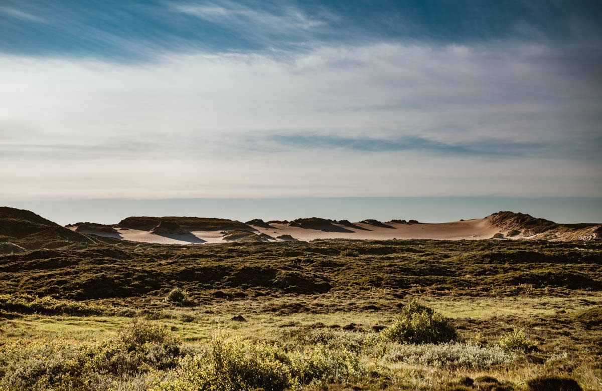 Jensmettenberg auf Wanderdüne bei List
