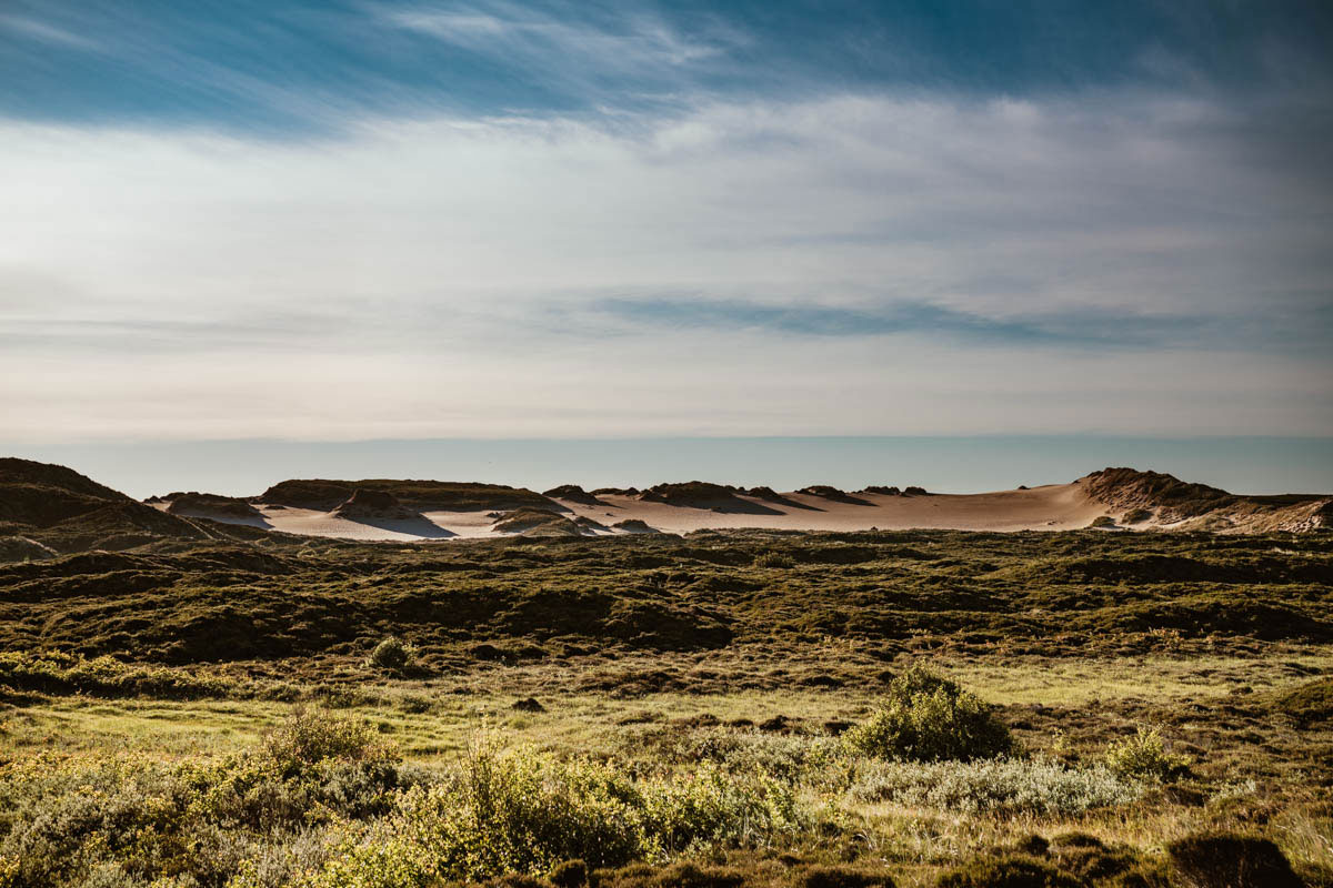 Jensmettenberg auf Wanderdüne bei List
