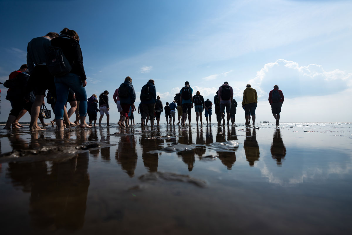wattanderung-wattenmeer-sylt