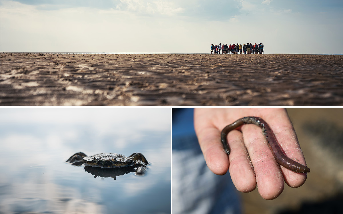 wattwanderung-werner-mansen