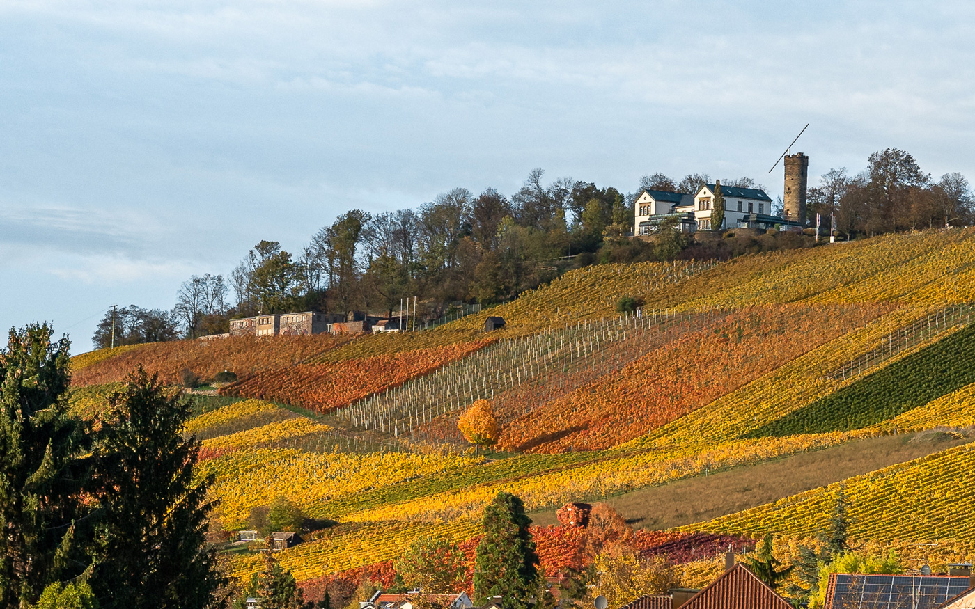Wartberg Heilbronn Sehenswürdigkeit