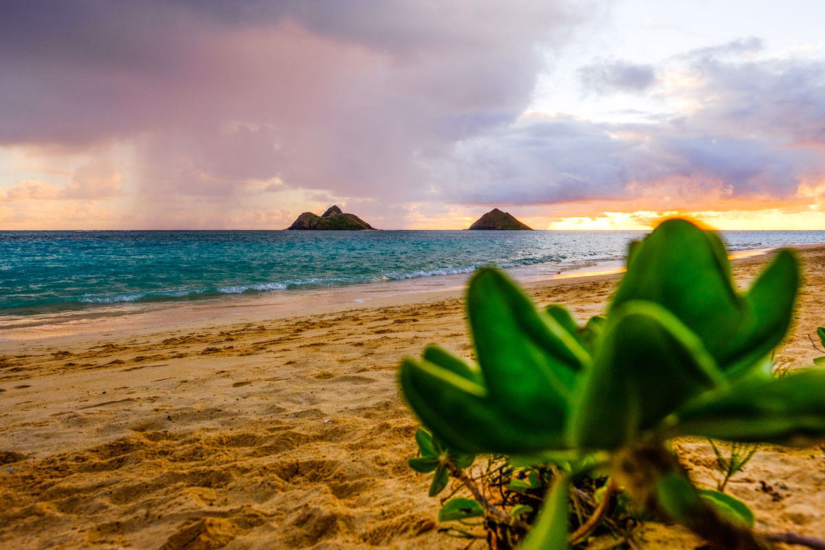 Waimanaolo Beach Oahu