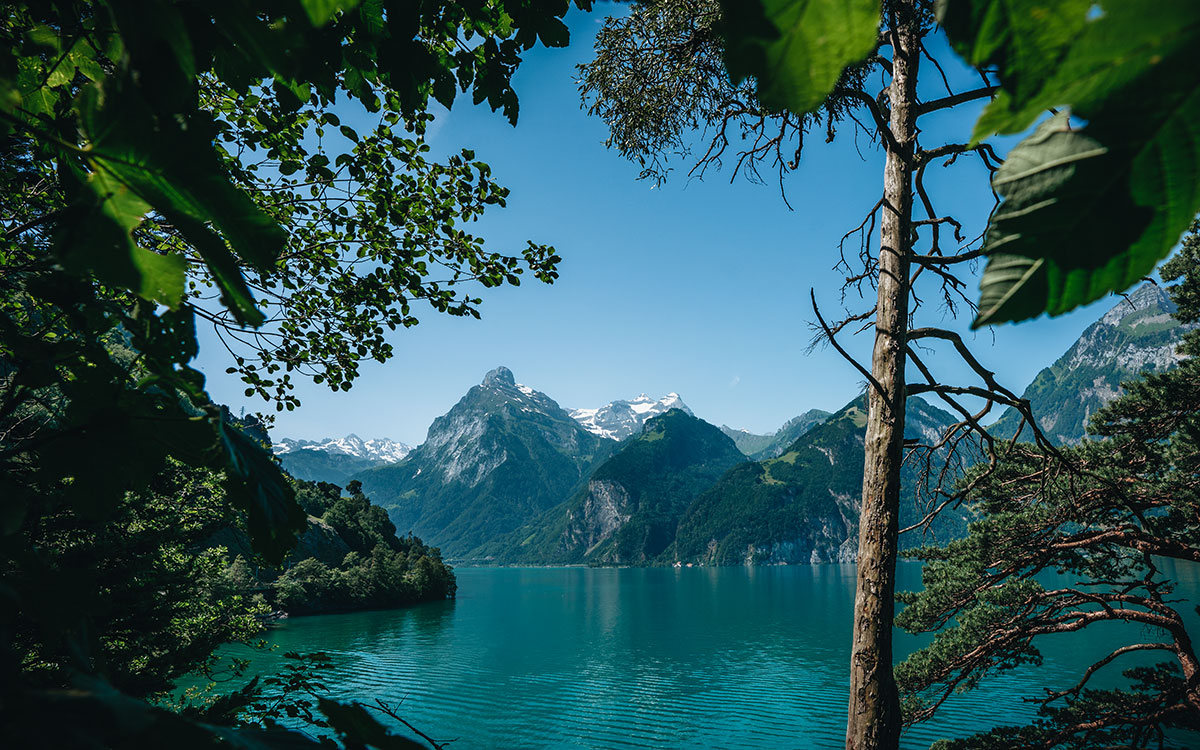 Weg der Schweiz Flüelen
