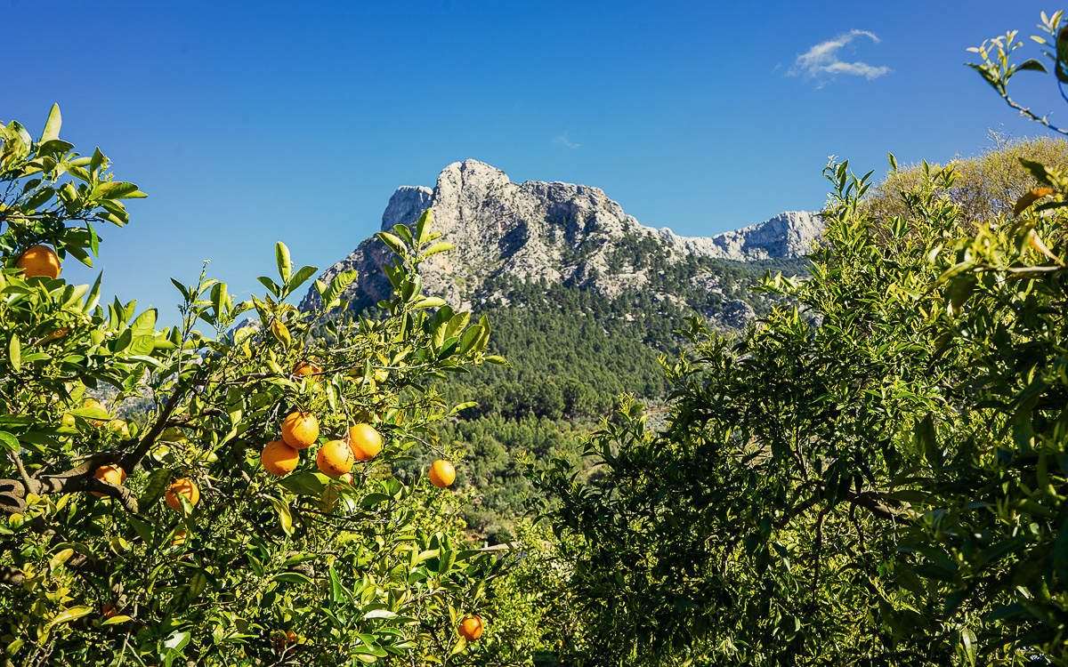 mallorca-tipps-soller-aussicht