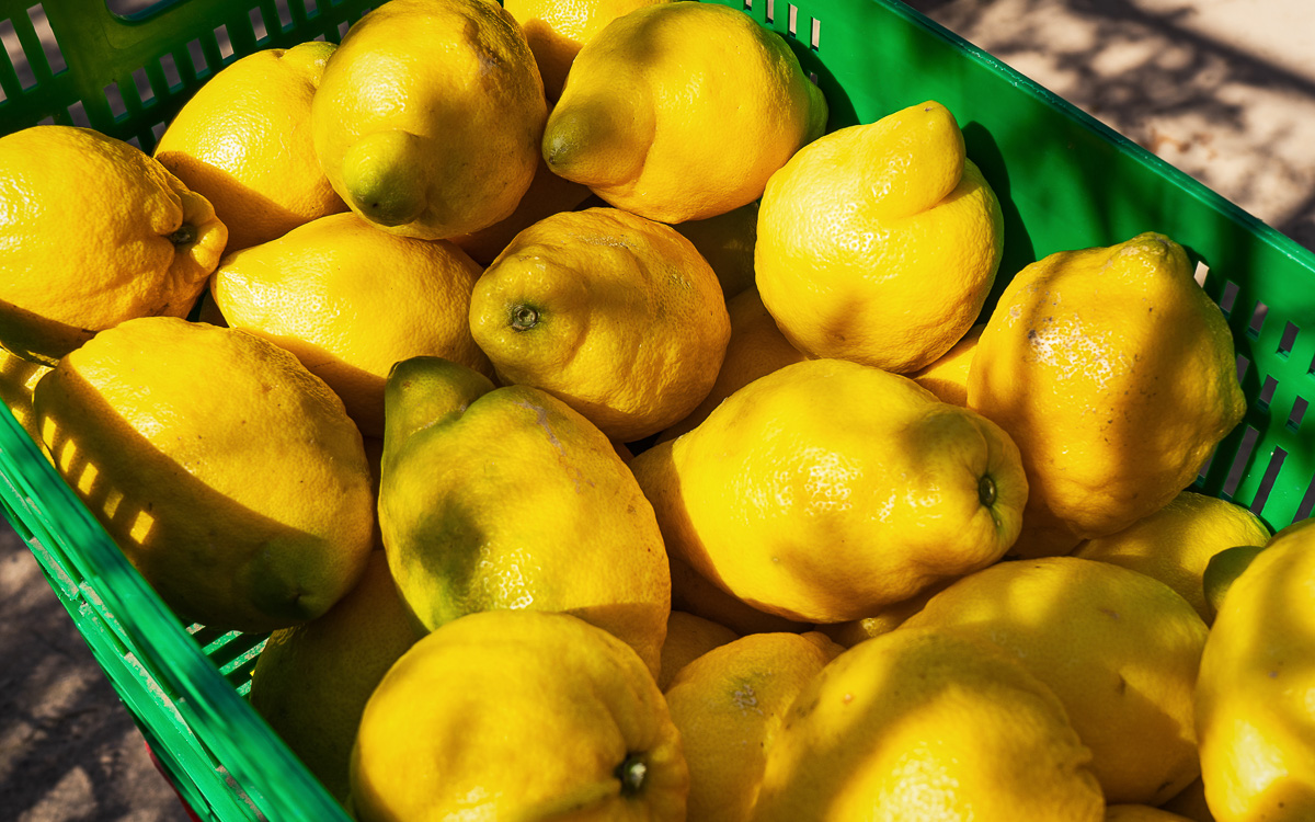 mallorca-tipps-soller-zitronen