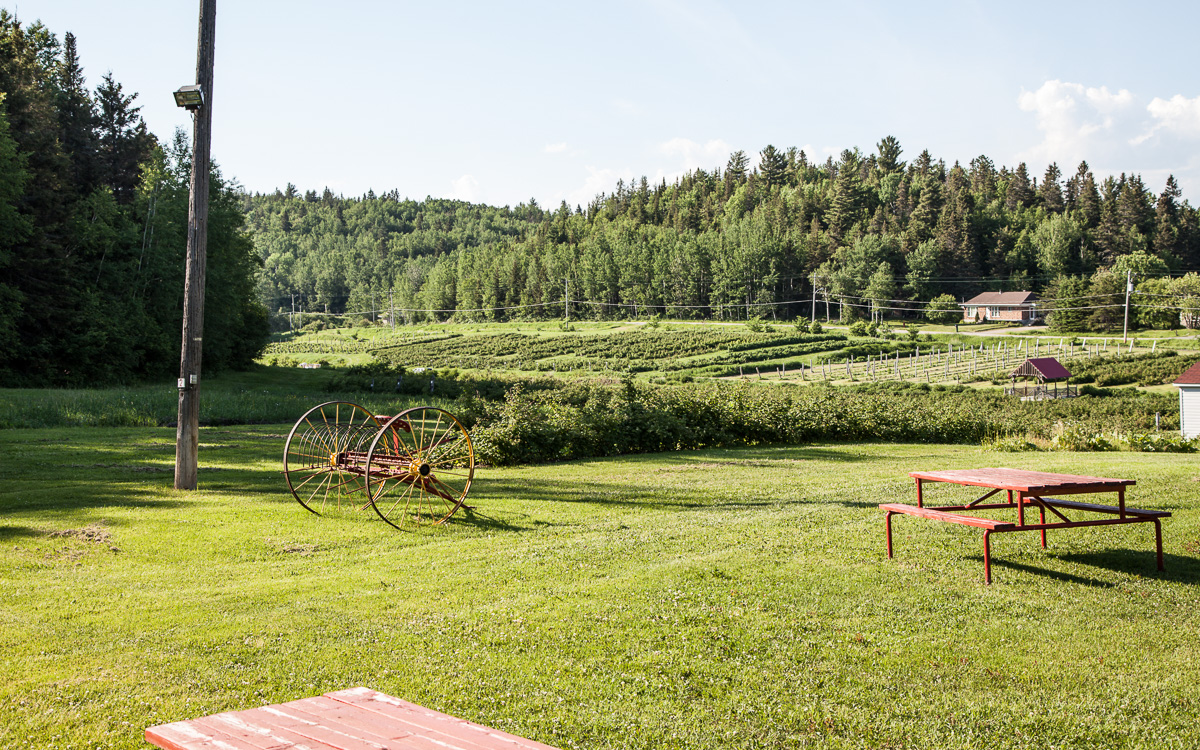 quebec-roadtrip-domaine-le-cageot