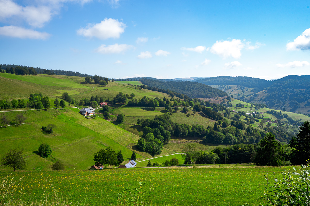 roadtrip-schwarzwald-blick-ins-tal
