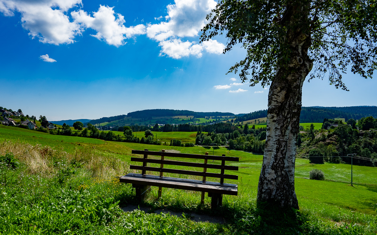 roadtrip-schwarzwald-blick-ins-tal-mit-bank