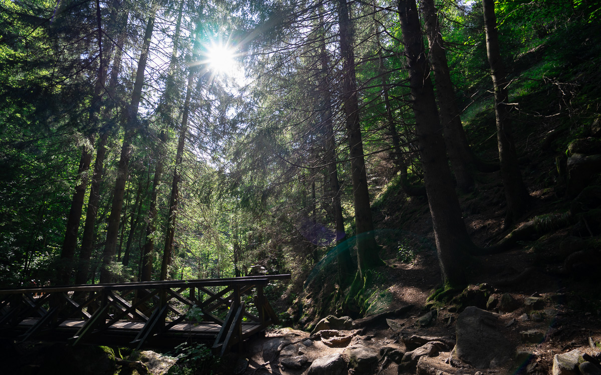 roadtrip-schwarzwald-ravennaschlucht-brücke