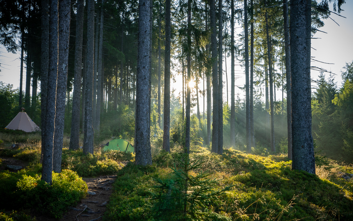 roadtrip-schwarzwald-schwarzwaldcamp