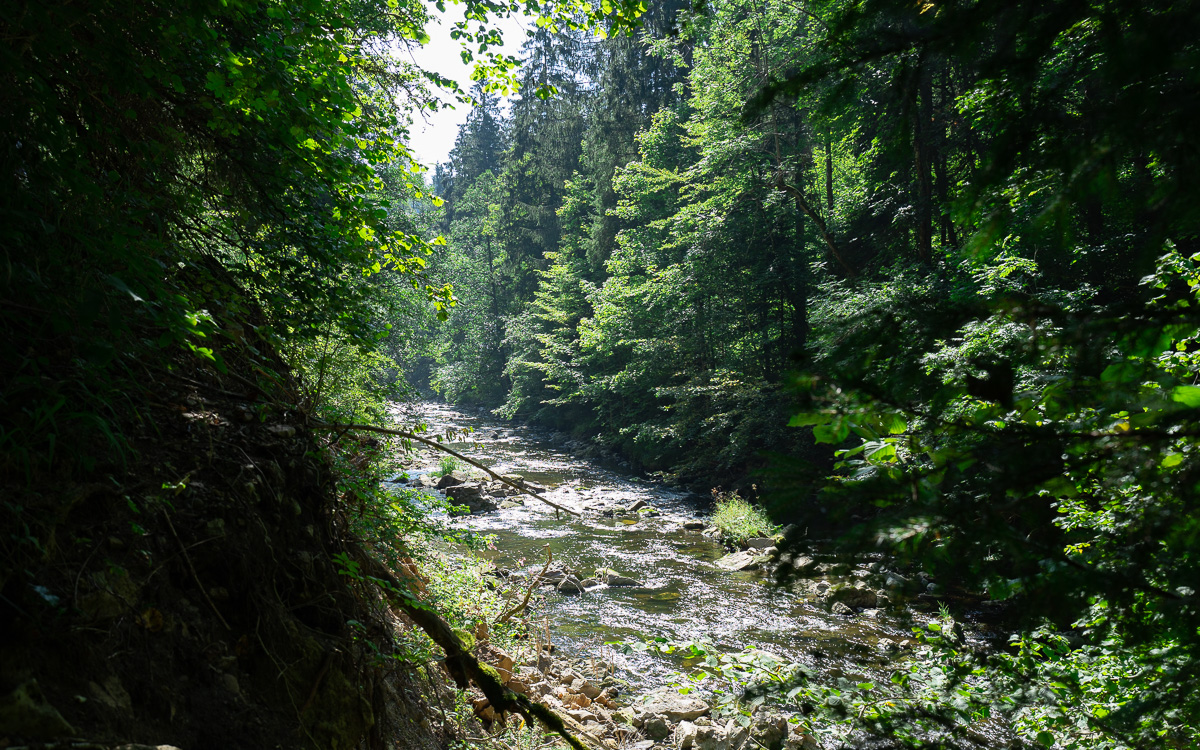 roadtrip-schwarzwald-wutachschlucht-wanderung