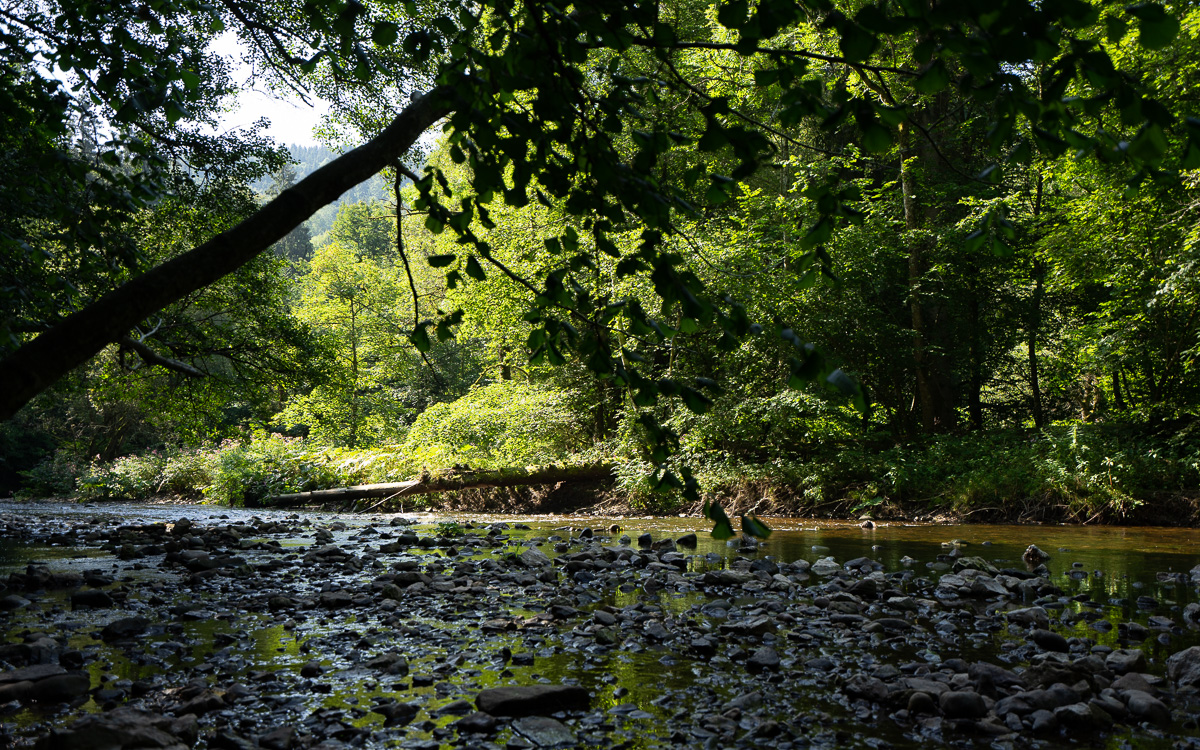 roadtrip-schwarzwald-wutachschlucht