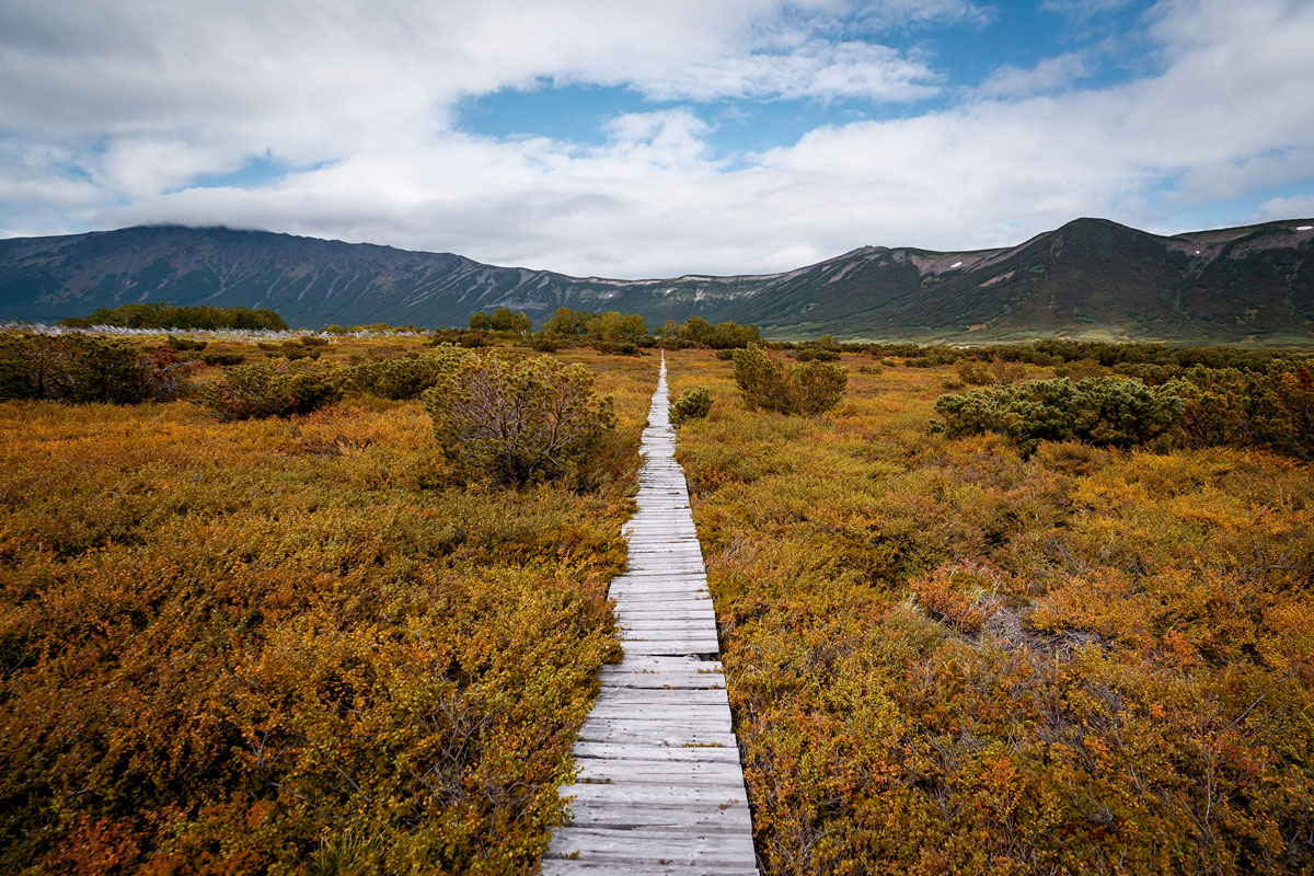 Holzsteg Valley of Geysers Kamtschatka