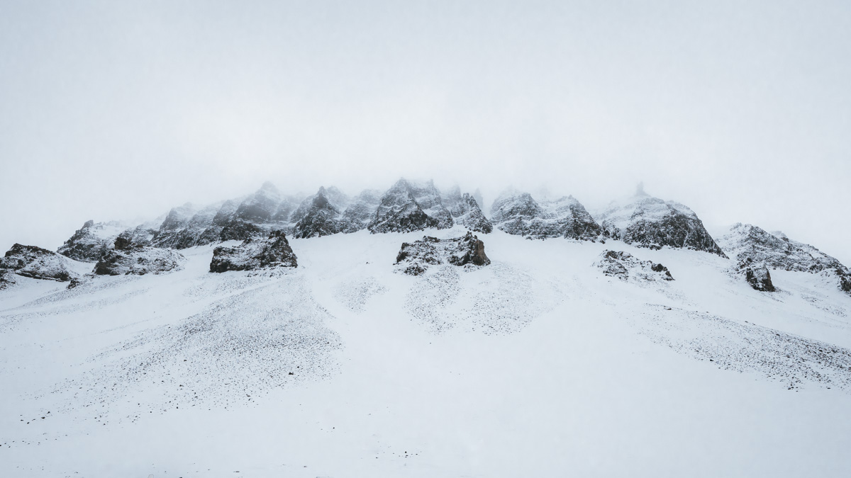 Longyearbyen Tour Actic Fox Spitzbergen