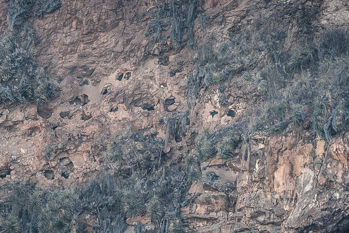 Pisac Peru Höhlen Knochen