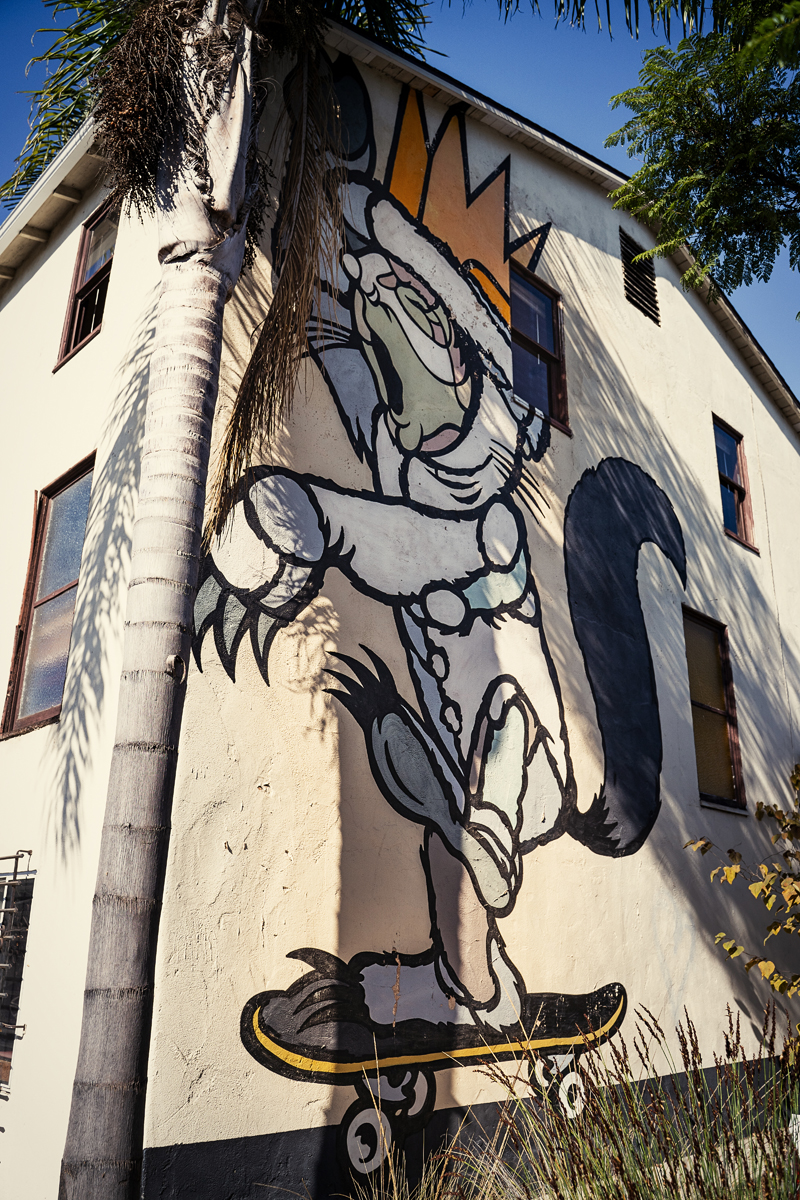 Street Art Santa Barbara Max