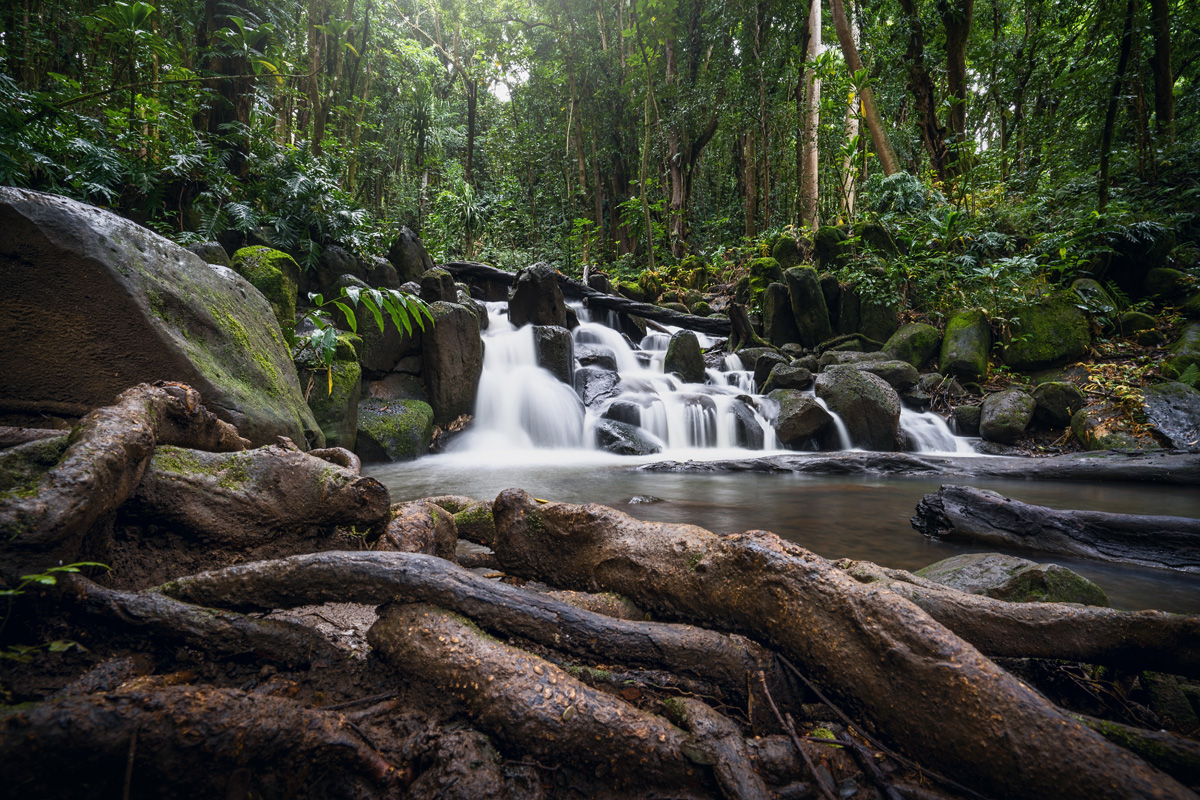 Wasserfälle Kauai Wailua River