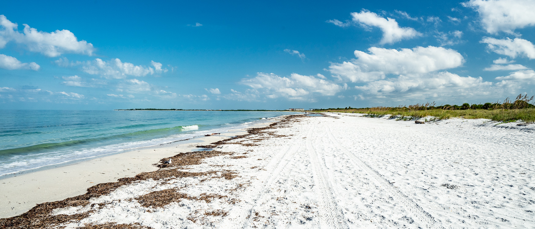 Caladesi Island Clearwater St. Pete Florida