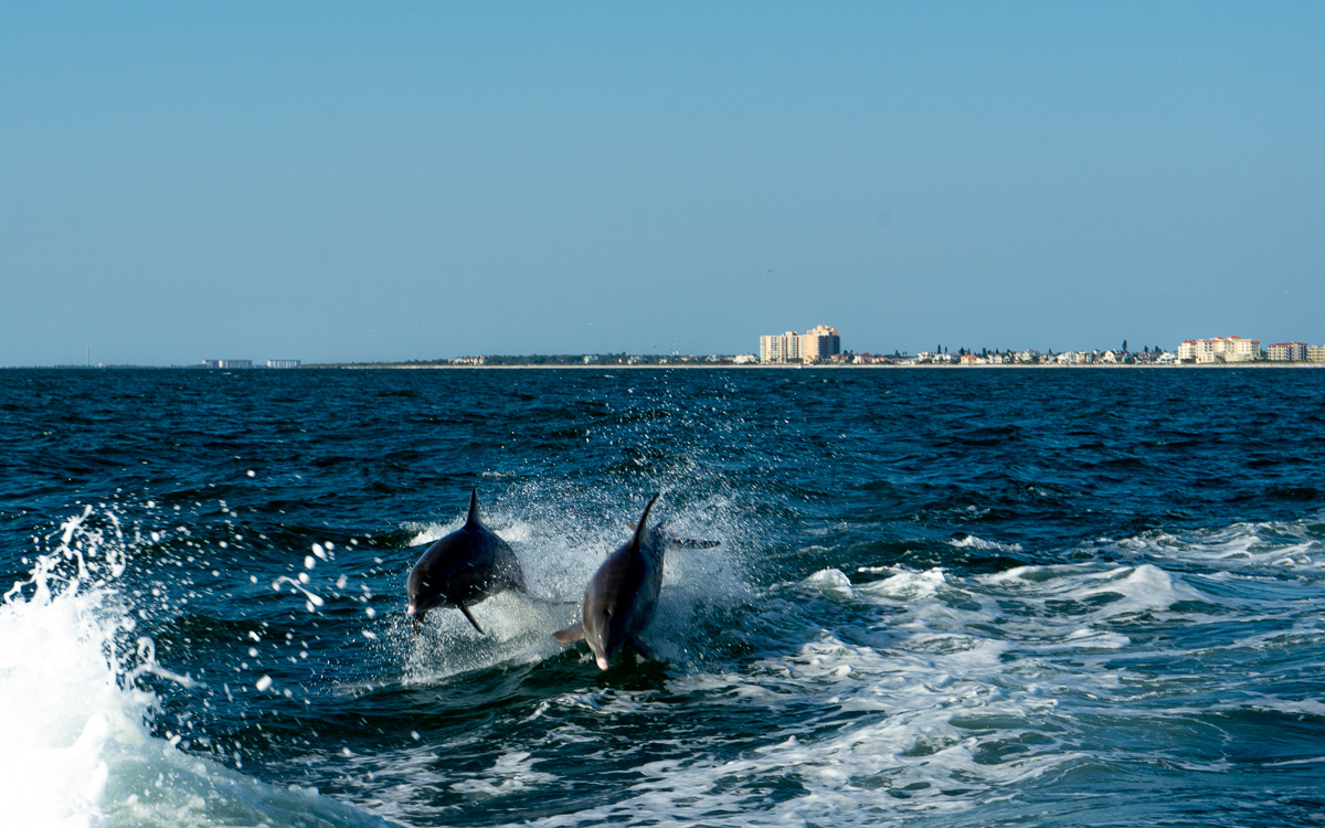 stpetersburg-clearwater-sehenswuerdigkeiten-little-toot-2