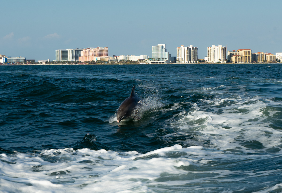 stpetersburg-clearwater-sehenswuerdigkeiten-little-toot