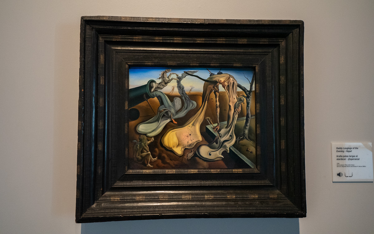 stpetersburg-florida-sehenswuerdigkeiten-dali-museum