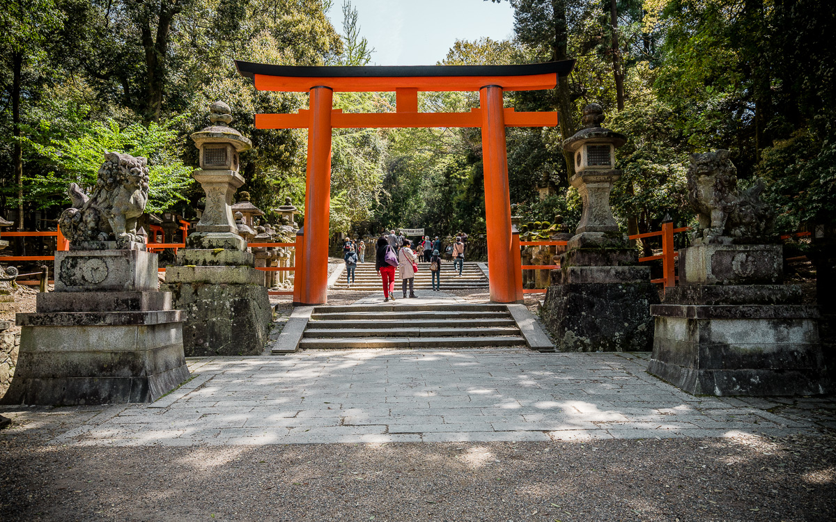 nara-japan-tori-kasuga-taisha