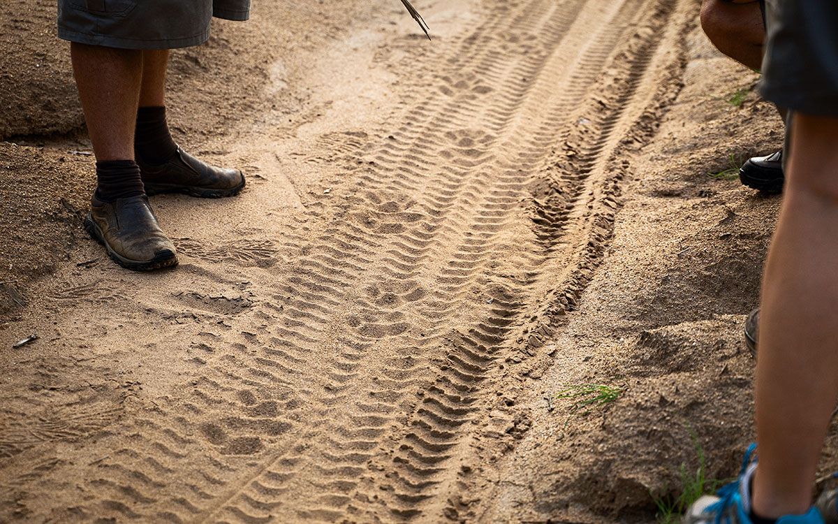 Ranger-Ausbildung Leoparden Spuren